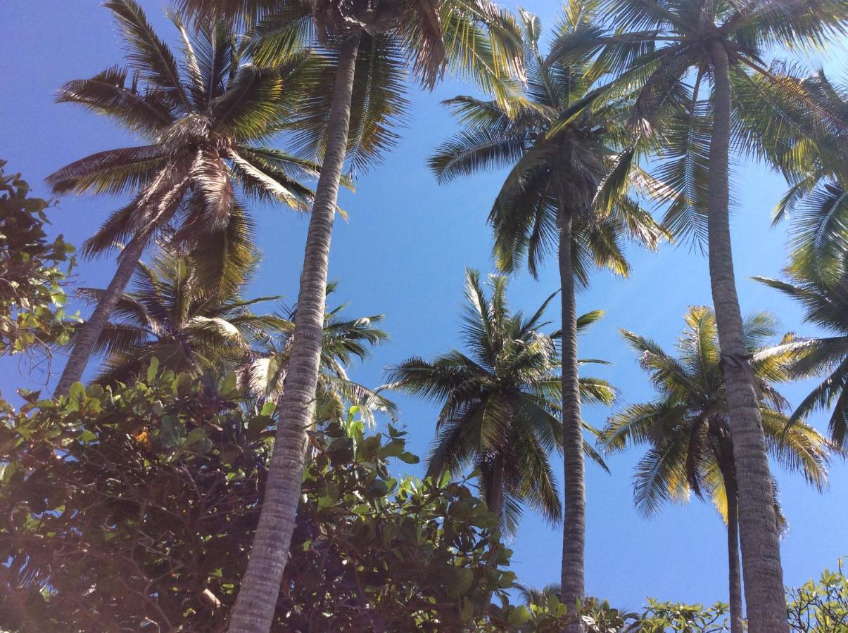 Donde Mira El Sol, Promo Primavera Hasta 50 Por Ciento (Adults Only) Acapulco Esterno foto